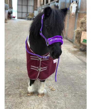 Equipride Horse Print Faux Lined Nylon Headcollars with Matching Lead Rope Purple (Pony) - Buy Online on GoSupps.com