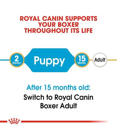 Royal Canin Boxer Junior 3.0 kg - Buy Online on GoSupps.com