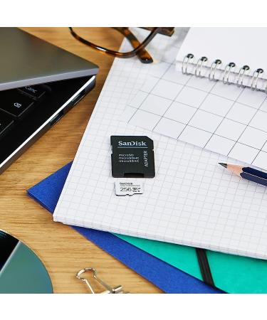 SanDisk 256GB High Endurance Video microSDXC Card - C10 U3 V30 4K UHD - SDSQQNR-256G-GN6IA - Buy Online on GoSupps.com