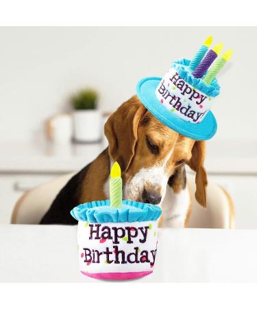 Ushang Pet Extral Large Dog Birthday Cake Hat & Birthday Bandana Scarfs Set Blue  Dog Happy Birthday Hat with Colorful Candles  Large Dog Birthday Party Supplies Decorations Birthday Hat & Bandana - Buy Online on GoSupps.com