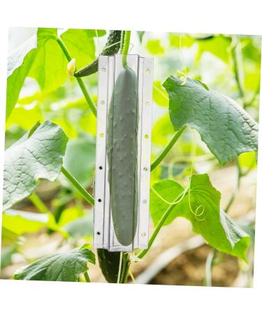 4pcs Planting Chocolate Shaped Heart Vegetable Shaping Candy Vegetables Cucumber Star Mold X Growth - Buy Online on GoSupps.com