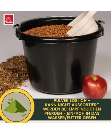 100% Natural Electrolyte Powder with Amino Acids for Horses | Hydrating Performance & Recovery Formula | 700g | Vitamins & Magnesium Included - Buy Online on GoSupps.com