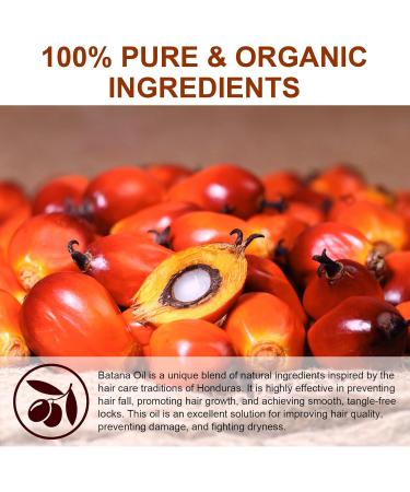  PLOBRT BatanaOil 100% Natural Hair Growth Mask Hair & Skin Growth Mask for Men & Women 7.8 oz - Buy Online on GoSupps.com