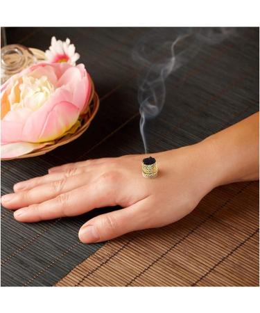 FARUTA Copper Moxa Box for Moxibustion Therapy | Portable Moxa Stick Cans | 10pcs Anti-Ash Net - Buy Internationally - Buy Online on GoSupps.com