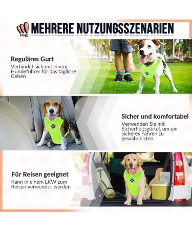 Slowton No Pull Dog Harness - Soft Padded & Breathable for Small to Medium Dogs | Safety & Comfort for International Shipping - Buy Online on GoSupps.com