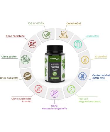 Mary Thistle Complex - 80% Silymarin Capsules with Dandelion & Artichokes | High Dose Vegan Supplement with Zinc Selenium & Vitamin E - 120 Lab-Tested Capsules - Buy Online on GoSupps.com