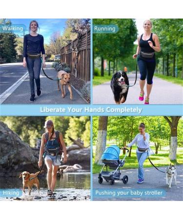 Boxwizard Dog Jogging Lead with Belly Strap Dog Lead for Small Dog Lead Zip Pocket Reflective Running Lead Belt Bag Outdoor Jogging Walking Night Running Black Waist Bag Average code - Buy Online on GoSupps.com
