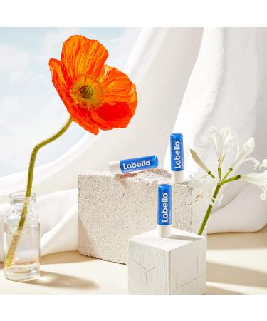Labello Original Lip Care Stick 1-Pack (4.8g) | Natural Lip Balm Without Mineral Oils | Protects & Nourishes Lips - Buy Online on GoSupps.com