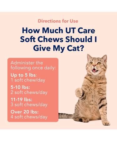 Vets Preferred Cat Urinary Tract Chews | UT Care Health Soft Chews | Supports Healthy Urinary Tract | Promotes Normal Bladder and Kidney Function | Chicken Flavored | 60 Count - Buy Online on GoSupps.com