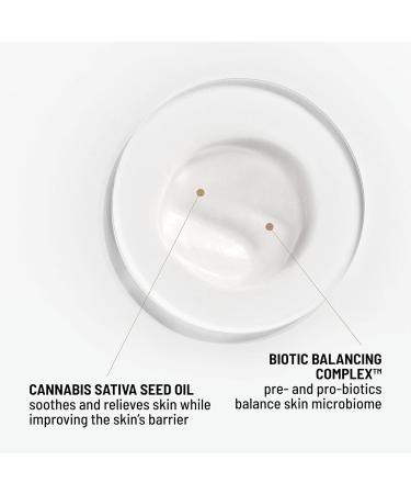 Dr. Brandt PB Cool Biotic Prebiotic Redness Relief Cream - 50g | Soothing Moisturizer for Sensitive Skin - International Shipping Available - Buy Online on GoSupps.com