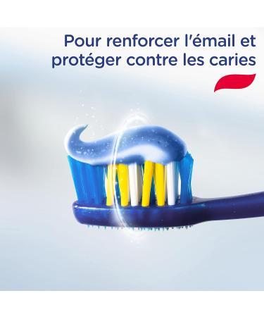 Signal Toothpaste for Tartar Control - Reduces Plaque & Gum Issues (75ml) - International Shipping Available - Buy Online on GoSupps.com