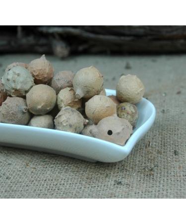 Naturix24 Oak apple 250 g