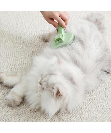 Self-Cleaning Cat Brush | Long & Short Hair Pet Brush for Loose Fur & Dirt | Green Color - Buy Online on GoSupps.com