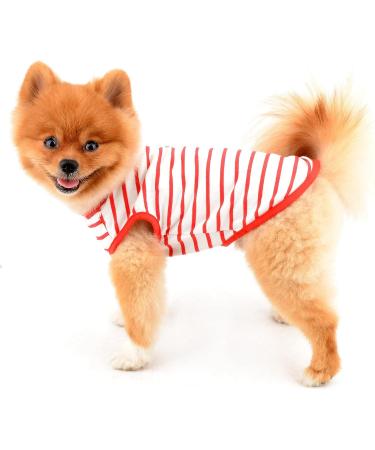 Buy Paidful British Little Dog Shirt - Soft Cotton Striped T-Shirt for Puppies & Small Dogs | Breathable Summer Vest for Chihuahua & Yorkie - Sizes S - Buy Online on GoSupps.com