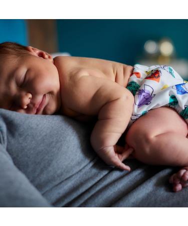 Buy Bambino Mio Reusable Diapers Set - Try It Box 5 Cloth Diapers & 100 Diaper Fleece | Eco-Friendly & Stylish - Brave & Loud - Buy Online on GoSupps.com