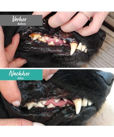Aniforte Denta Clean & Care Dental Powder for Dogs & Cats - 80g Natural Tooth Cleaner & Tartar Remover for Fresh Breath - Buy Online on GoSupps.com