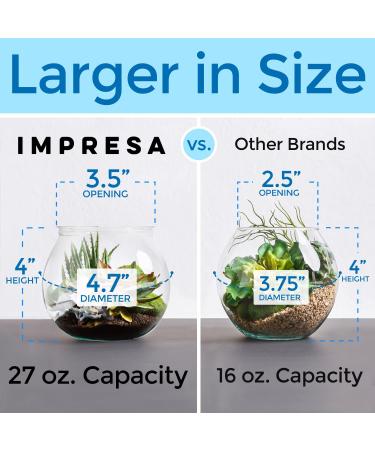 6 Pack 27oz Mini Plastic Fish Bowls for Decoration and Drinks - Clear Vase for Centerpieces - Fun Party Starter Set - Buy Online on GoSupps.com