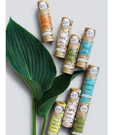 Valley Mist Vegan Sweet Mandarin Lip Balm Made With Organic Cocoa Butter - Plastic Free - Natural Zero Waste 10 g - Buy Online on GoSupps.com