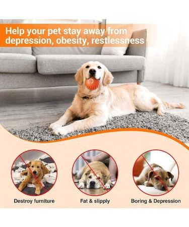 2PCs Interactive Dog Ball Toys - Self-Strolling Hard-Wearing Automatic Rolling Balls for Dogs - Wicked Ball - Perfect for Playtime & Fun! - Buy Online on GoSupps.com