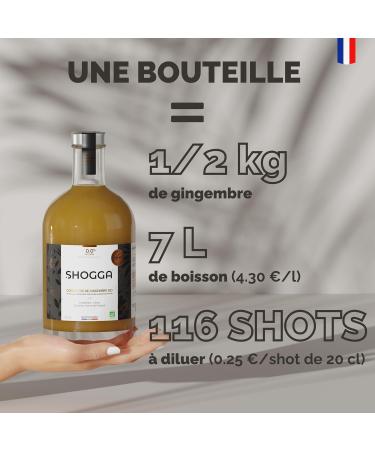 SHOGGA | Organic ginger concentrate (2x700 ml) | Made in France | Premium drink without alcohol | 12 superfoods: fresh cold pressed ginger lemon turmeric kampot pepper herbs and spices. - Buy Online on GoSupps.com