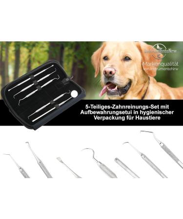Premium Dog Tartar Remover Set | Stainless Steel Tooth Cleaner for Pets | Scaler & Toothbrush Replacement - Buy Online on GoSupps.com
