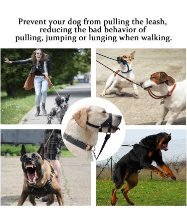 Buy No-Pull Dog Straps with Soft Upholstery - Durable Halter for Medium & Large Dogs | Includes Training Instructions - Buy Online on GoSupps.com