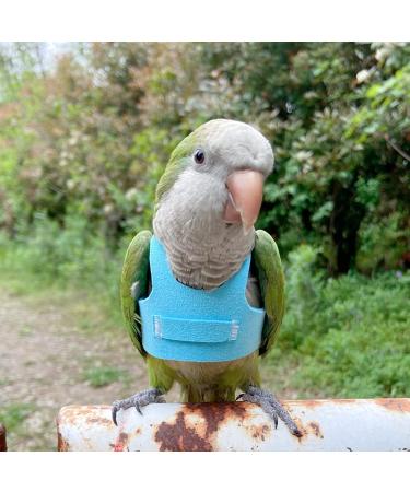 Bird Flight Harness Vest | Parrot Flight Suit with Leash | Outdoor Bird Flying Clothes | Training Vest for Parakeets, Cockatiels, Conures, Budgies | Blue - Buy Online on GoSupps.com
