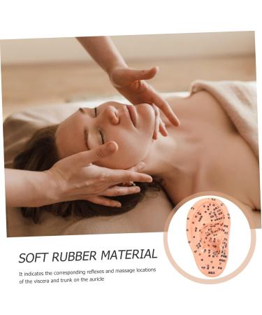 FRCOLOR 1pc Artificial Human Ear Model - Acupuncture & Massage Tool for Ear Acupoint Therapy | Medical PVC Teaching Aid - Buy Online on GoSupps.com