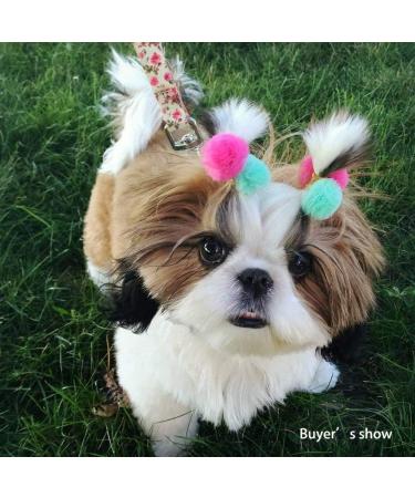 Mruq Pet 100pcs Small Dog Hair Pom Pom Bows with Rubber Bands - 0.98 inches, Yorkie Dog Grooming Accessories FL013-100PCS - Buy Online on GoSupps.com