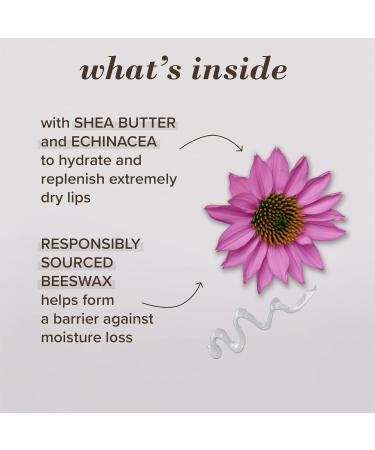 Burt s Bees Advanced Lip Relief with Shea Butter and Echinacea 100% Natural Origin 9.92 g - Buy Online on GoSupps.com