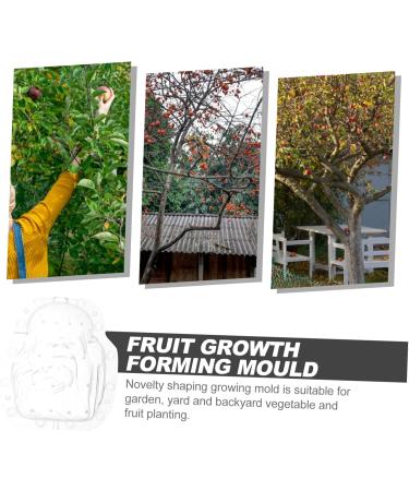 SUPVOX Shape Reusable Transparent Planting Shaping Tools Luck for Growing Forming Garden Peach Gardening - Buy Online on GoSupps.com