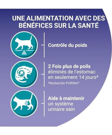 PURINA ONE Bifensis Special Indoor Sterilized Cat | Trout and Whole Grain Dry Food for Adult Cats | 3kg Bag - Buy Online on GoSupps.com