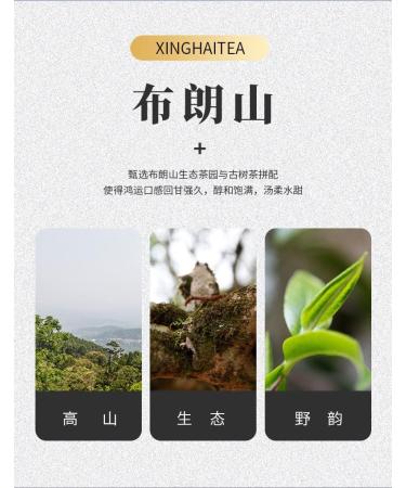 Pu-erh tea 2020 Xinghai Fortune 357g Raw - Buy Online on GoSupps.com