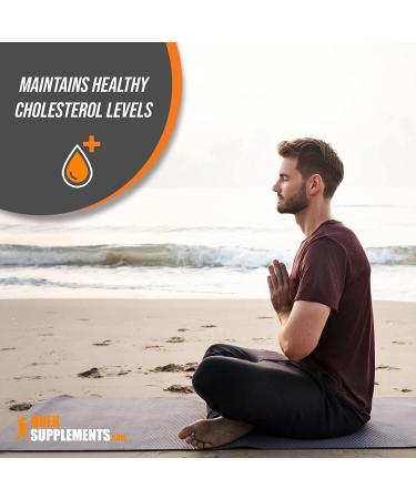 Fenugreek Powder for Hair Growth & Lactation - 500g | Breastfeeding & Fenugreek Seed Supplements - Buy Online on GoSupps.com