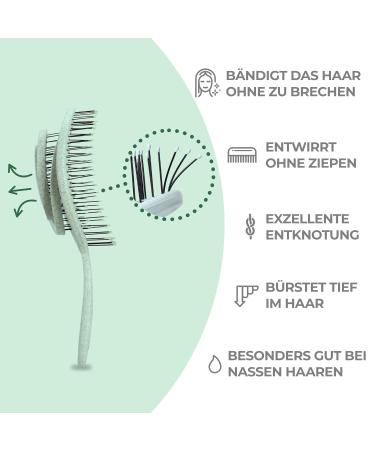 Ninabella Bio Hairbrush for All: Detangling Brush for Curls & Long Hair - Mint Green - Ideal for Men Women & Kids - Buy Online on GoSupps.com