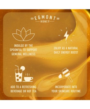 Egmont Honey MGO 550+ M nuka Honey 100% Natural And Certified Honey From New Zealand 250g Manuka Honey - Buy Online on GoSupps.com