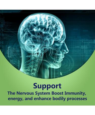 Nerve Support Oral Dissolvable Film N1 by NerveSpa - Improve Flow Build Immunity Support the Nervous System 10 Films/box - Boost energy and enhance bodily processes. Nerve and Neuropathy - Buy Online on GoSupps.com