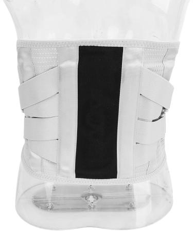 YYQTGG Lumbar Support Belt - Comfortable Adjustable Back Support | Breathable Polyester for Sports - Shop Now - Buy Online on GoSupps.com