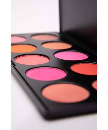 EpiLynx by Dr. Liia 10 Color Blush Palette - Pink & Neutral Colors - Gluten Free & Vegan for Sensitive Skin - 1 Count - Buy Online on GoSupps.com