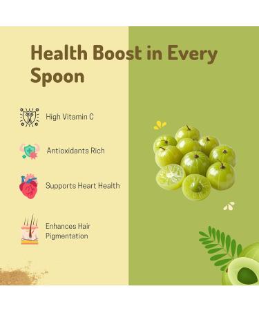 Amla Powder for Hair Growth & Skin Care | 100% Pure & Natural | Unpolished Herbal Powder (3.5 Ounces) 3.5 Ounce (Pack of 1) - Buy Online on GoSupps.com