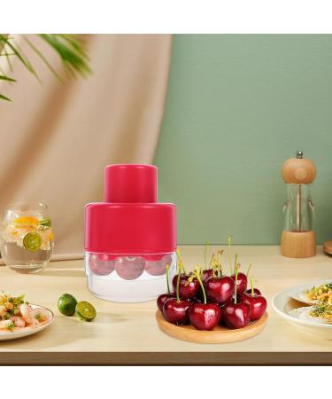 Zerodeko Fruit Corer Cherry Pit Remover Press Style Cherry Pitter Reusable Olive Pitter Wear-Resistant Red Date Corer Cheery Core Remover Jujube Core Household Stainless Steel 304 - Buy Online on GoSupps.com