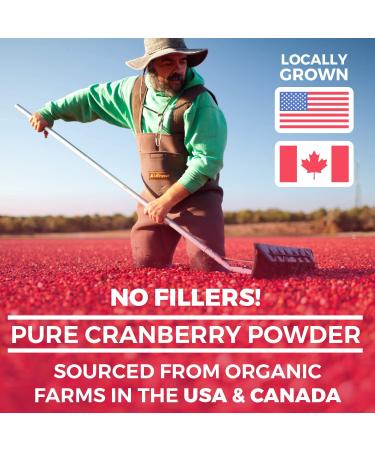 Organic Cranberry Concentrate Powder 500mg - 100 Servings - Kidney Cleanse & UTI Support for Women - No Pills - USDA Certified - Buy Online on GoSupps.com