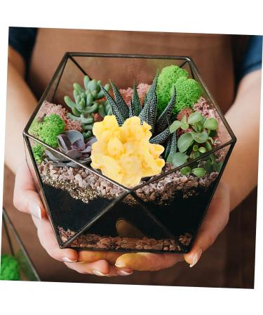 KONTONTY Candy Necklace 20pcs Artificial Popcorn Resin White Accessories Cell Phone Magnet Earrings - Buy Online on GoSupps.com