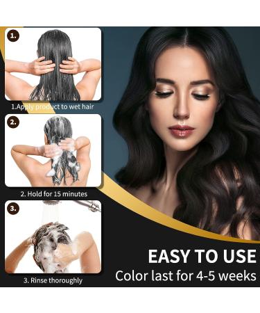 IVNIL Instant Black Hair Color Shampoo for Gray Hair 3-In-1 Semi-Permanent Dye - Herbal Ingredients, Ammonia-Free, Fast Acting 13.5 fl oz - Buy Online on GoSupps.com