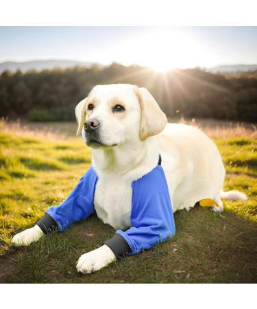 Dog Front Elbow Brace - 1 Pair Dog Shoulder Elbow Brace Wear-Resistant Pet Protective Knee Pad for Dog Hip Joint Stain-Resistant Breathable Blue L - Buy Online on GoSupps.com