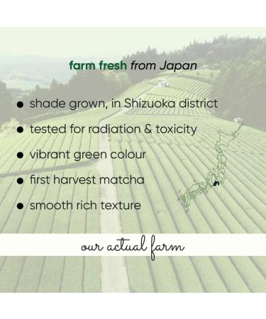 Tencha Matcha Ceremonial Grade Green Tea Powder - Vegan, No Artificial Sweeteners (50 Servings) - Sourced from Shizouka, Japan - Buy Online on GoSupps.com