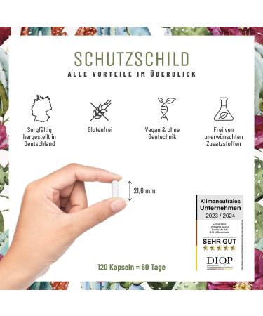 Immune System Complex - 500mg Echinacea with Vitamin C Zinc Selenium & L-Histidine - Vegan No Additives - 120 Capsules for 60 Days - Buy Online on GoSupps.com