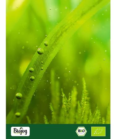 Biojoy Spirulina powder BIO (1kg) without additives (Spirulina platensis) - Buy Online on GoSupps.com