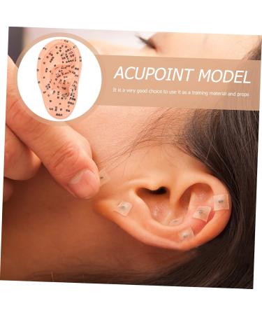 Lurrose 1stk Massage Ear Model - Realistic PVC Ear Acupuncture & Exercise Doll | 3D Human Ear Model for Earplugs & Massage - Buy Online on GoSupps.com