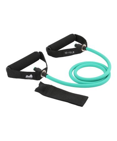 REEHUT Resistance Bands exercise band Resistance Band with Handles Door Anchor and Manual for Resistance Training Physical Therapy Home Workouts Fitness Pilates Boxing Strength Training 3-Turquoise (10-12 lbs.)